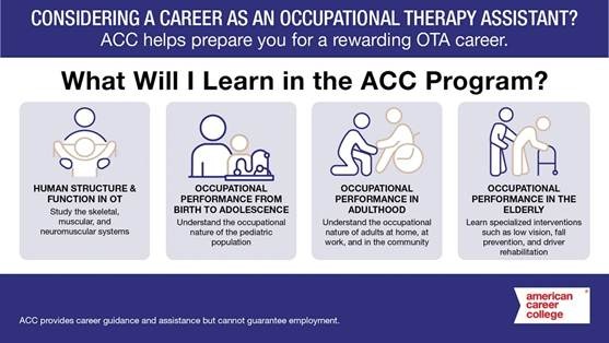Occupational therapy assistant training program infographic showing clinical and therapy education areas